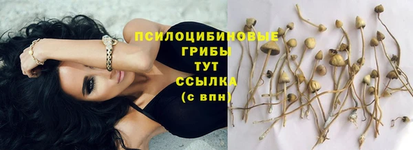 кокаин колумбия Алексин