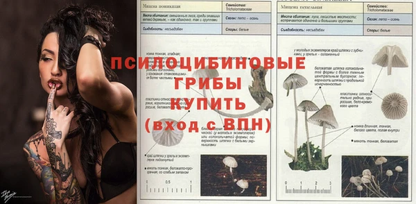 спиды Алзамай