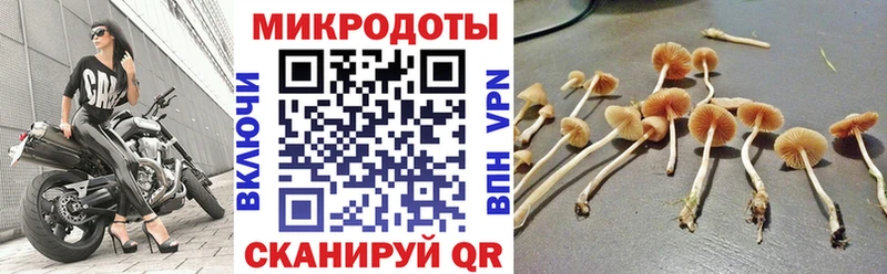 Псилоцибиновые грибы Psilocybine cubensis закладки нарко площадка наркотические препараты Бирск
