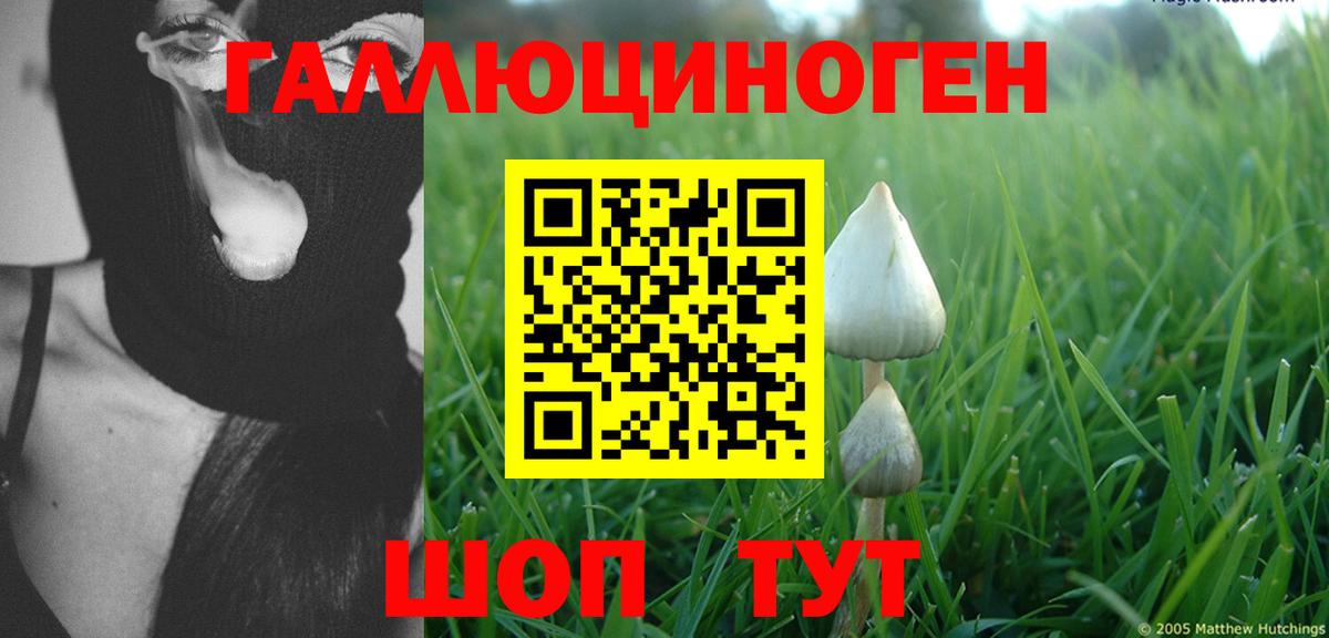 Псилоцибиновые грибы GOLDEN TEACHER Бирск